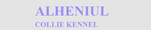 ALHENIUL - COLLIE KENNEL